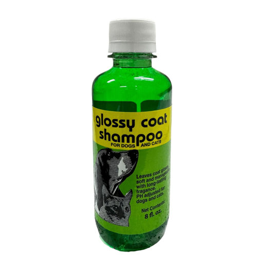 Imagen de Glossy Coat Shampoo 1/12/8oz